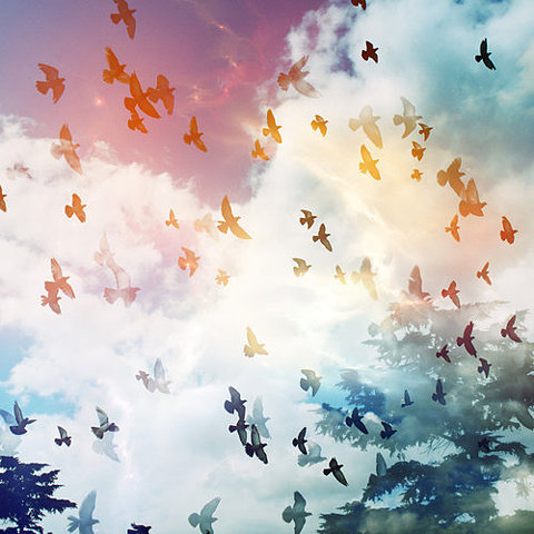 英语日记高中优质范文6篇