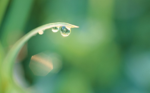 难忘的泼水节教学设计